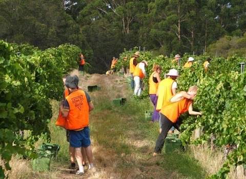 Photo: Down to Earth Agribusiness Photo: Down to Earth Agribusiness